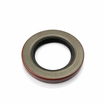 Timken&reg; 482163 NAT482163
