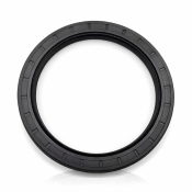Dichtomatik 115X140X12TC-BX