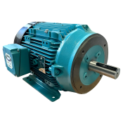Brook Crompton BF4N.33V2C