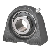 IPTCI Bearings UCPA206-20L3