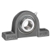 IPTCI Bearings UCP205-16L3 IPTUCP205-16L3