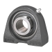 IPTCI Bearings UCPA206-20L3 IPTUCPA206-20L3